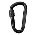 Cast Steel Locking Carabiner Swing Accessory